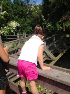 1176289_10200463168846543_607073340_n