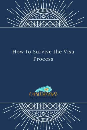 How to Survive the visa process
